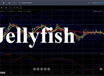 ТС  «Jellyfish»: как получить максимум от торговли бинарными опционами