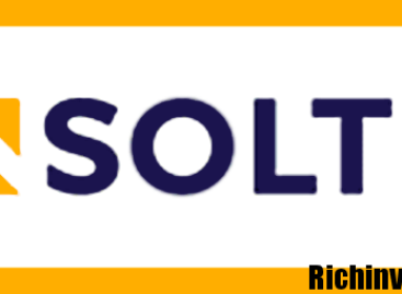 Insolt Ltd: обзор и отзывы клиентов