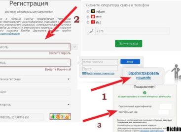 Обзор белоруской электронной платежной системы Easypay