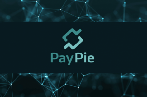 Сервис PayPie – эффективная оценка рисков с помощью Block Chain